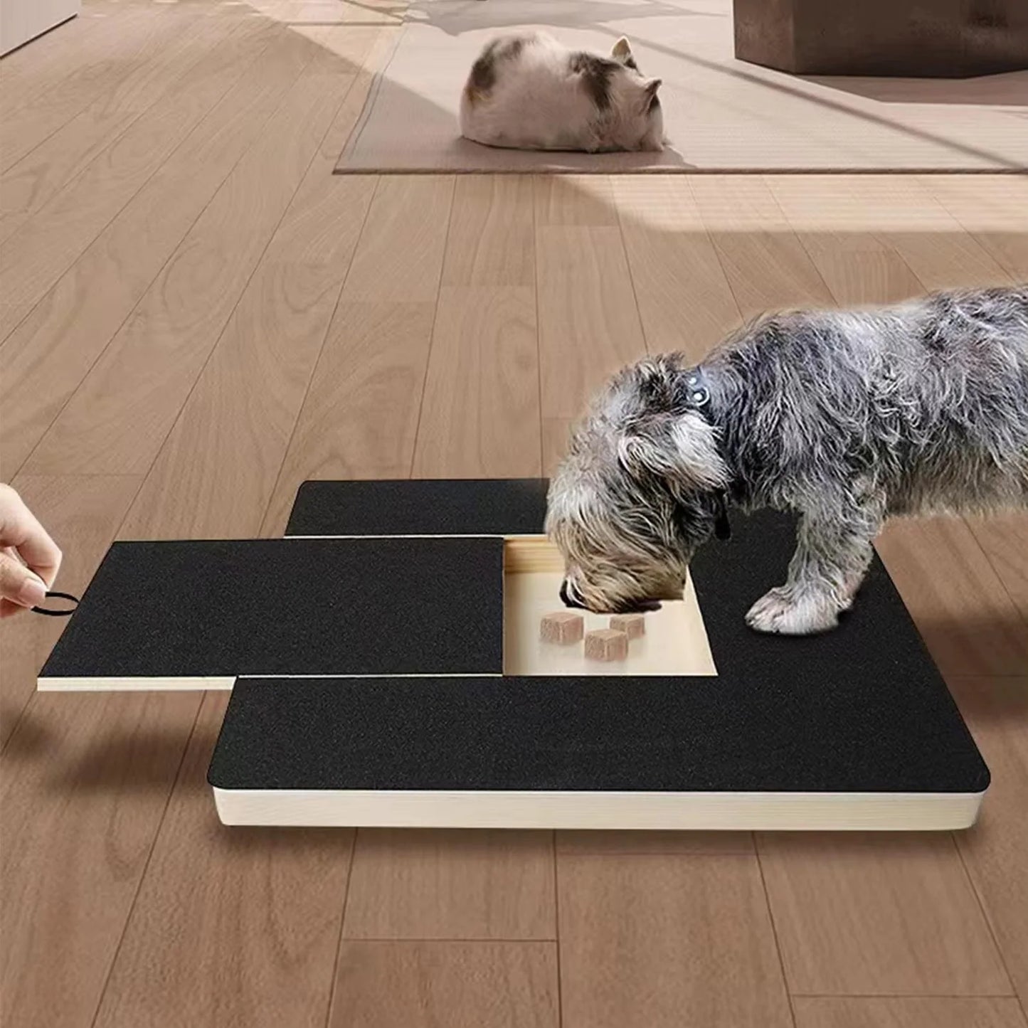 Transform Grooming into Fun with Our Dog Nail Scratch Board & Treat Drawer - The Ultimate Stress-Free Solution for All Breeds