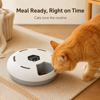 Revolutionize Mealtime with the 6-Meal Timed Automatic Cat Feeder - Indoor Detachable Rotating Food Dispenser for Cats and Small Dogs, Complete with Ice Packs and Battery Power!