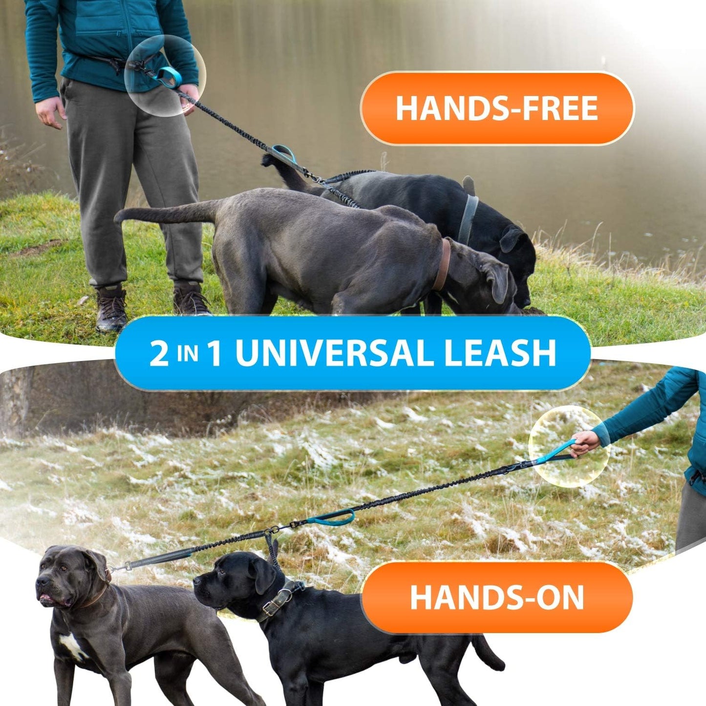 Ultimate Hands-Free Double Dog Leash – Perfect for Medium and Large Breeds – Enjoy Walks with 2 Dogs, Tangle-Free and Comfortable!