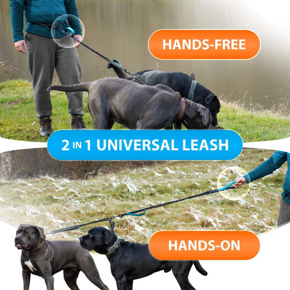 Ultimate Hands-Free Double Dog Leash – Perfect for Medium and Large Breeds – Enjoy Walks with 2 Dogs, Tangle-Free and Comfortable!