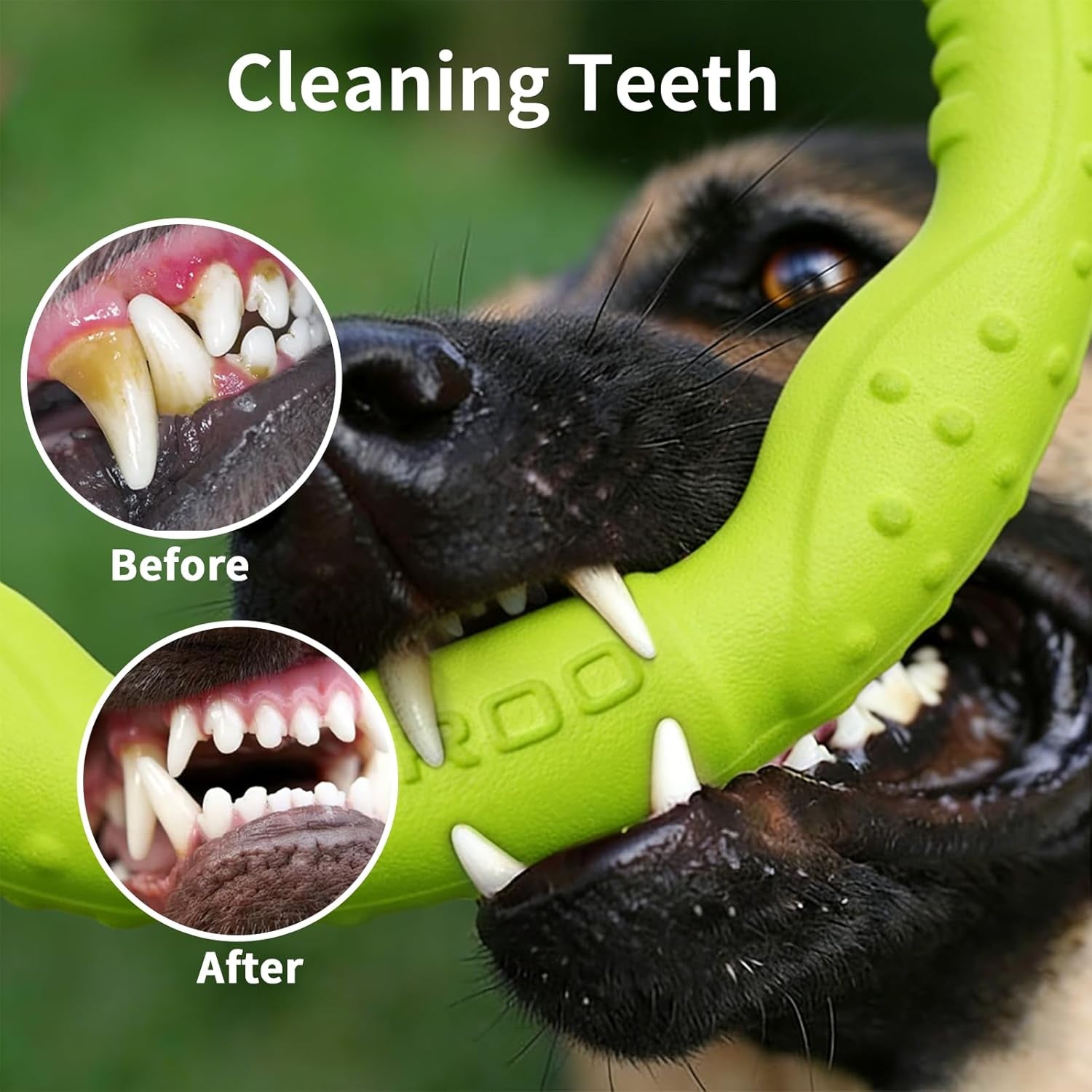 Exciting Green Dog Ring Toy - Durable Soft Flying Disc for Fun Fetching and Water Play, Perfect for Medium to Large Breeds!