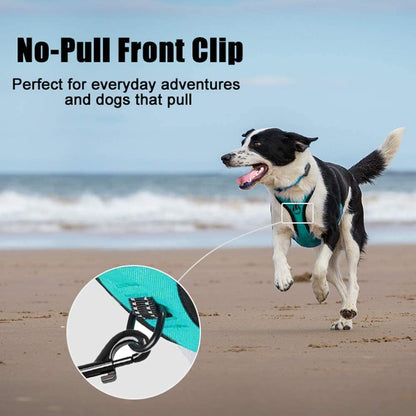 Ultimate No Pull Dog Harness - Reflective & Comfortable Vest with Dual Leash Attachments and Easy Control Handle - Adjustable Soft Padded Pet Vest for Small to Large Dogs (Mint Blue, Medium)