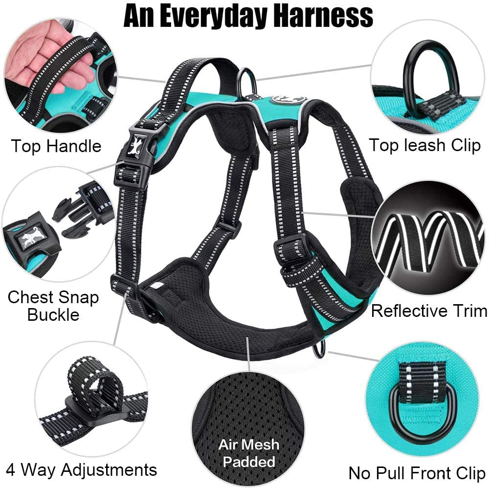 Ultimate No Pull Dog Harness - Reflective & Comfortable Vest with Dual Leash Attachments and Easy Control Handle - Adjustable Soft Padded Pet Vest for Small to Large Dogs (Mint Blue, Medium)