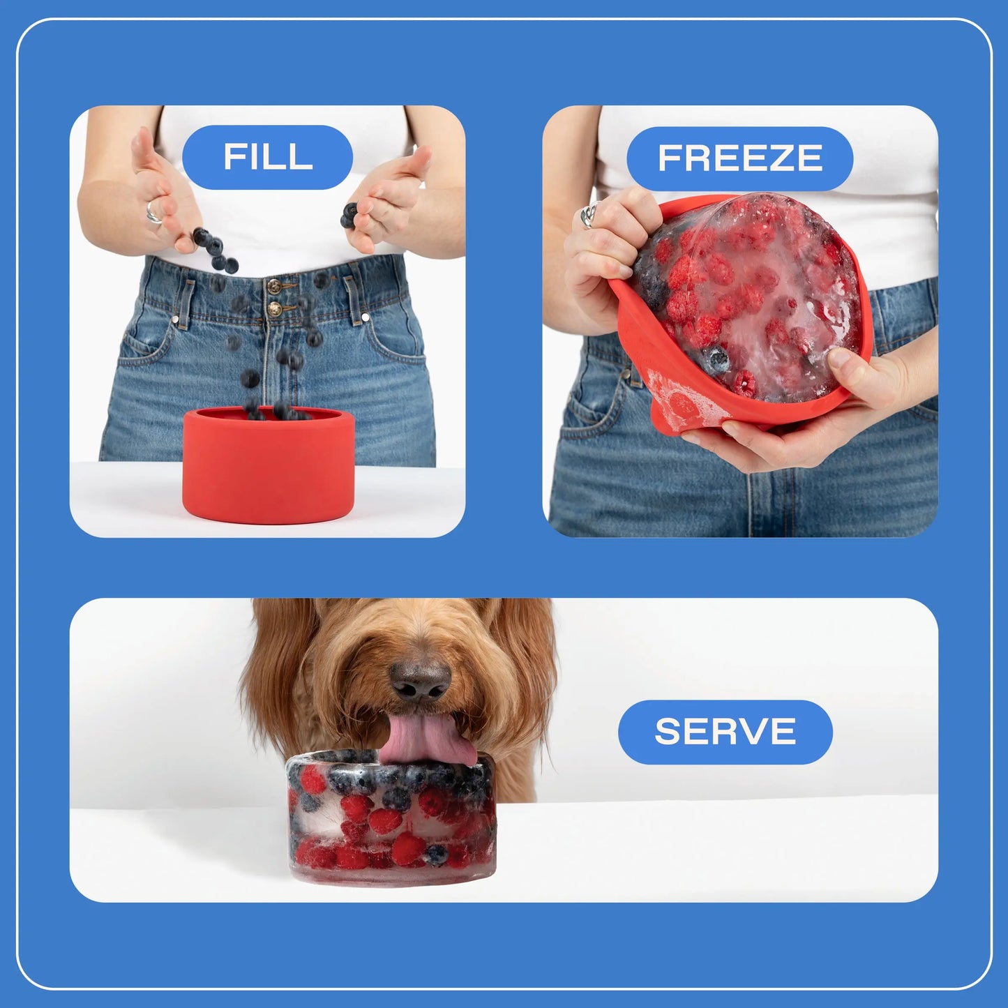 Create Frozen Delights for Your Pup with the Freeze-Your-Own Dog Treat Bowl