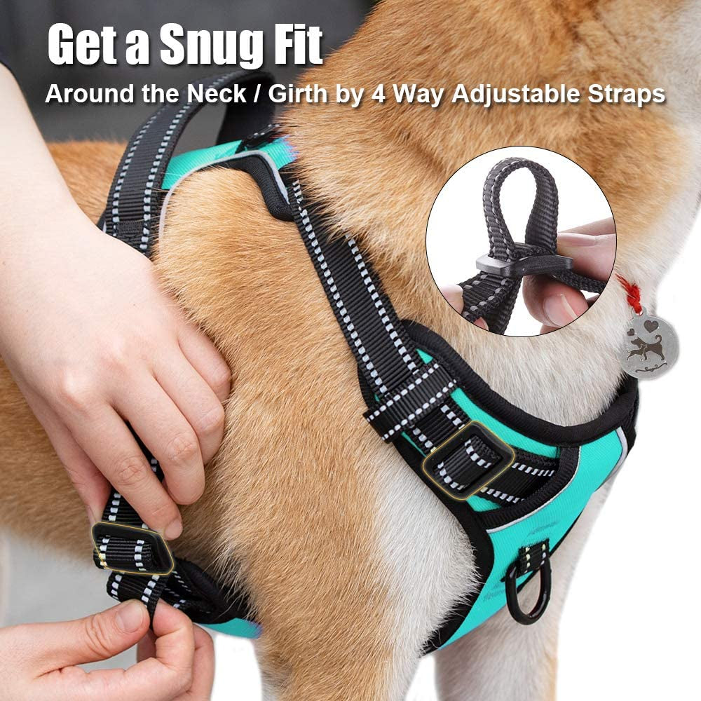 Ultimate No Pull Dog Harness - Reflective & Comfortable Vest with Dual Leash Attachments and Easy Control Handle - Adjustable Soft Padded Pet Vest for Small to Large Dogs (Mint Blue, Medium)