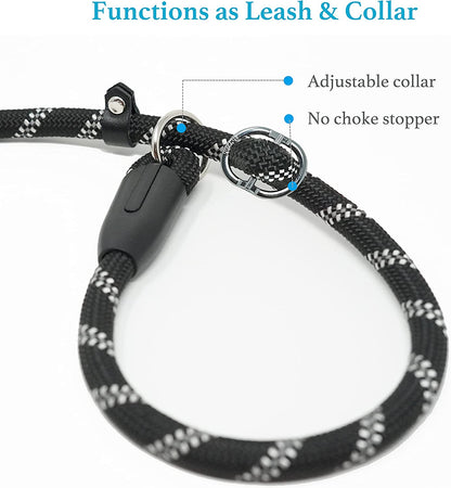 Ultimate Durable Slip Lead Dog Leash with Padded Handle and Reflective Threads - Perfect for Training and No-Pull Control (1/2" x 6 FT, Black)