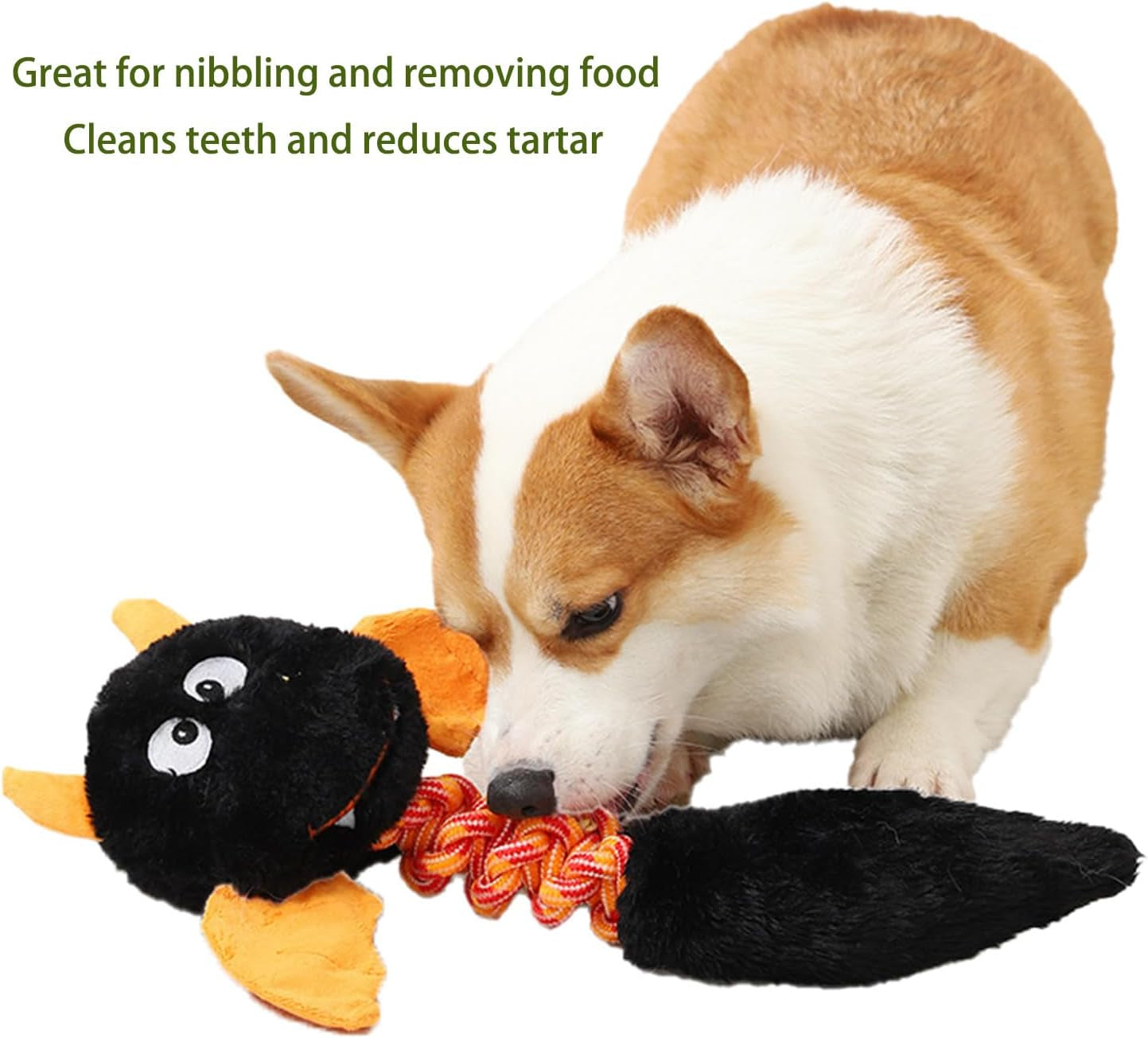 Exciting Plush Dog and Cat Toys - Squeaky Fun for Large and Small Pets!