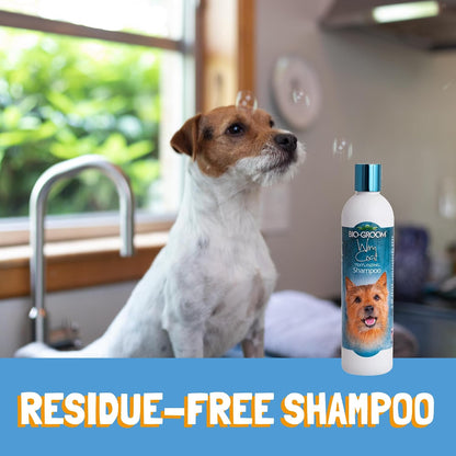 Transform Your Dog's Coat with BioGroom Wiry Coat Shampoo - Tearless, Texturizing Formula for Puppies and Dogs - Cruelty-Free, Made in the USA - 12 Fl Oz