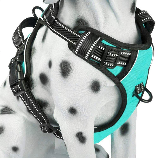 Ultimate No Pull Dog Harness - Reflective & Comfortable Vest with Dual Leash Attachments and Easy Control Handle - Adjustable Soft Padded Pet Vest for Small to Large Dogs (Mint Blue, Medium)