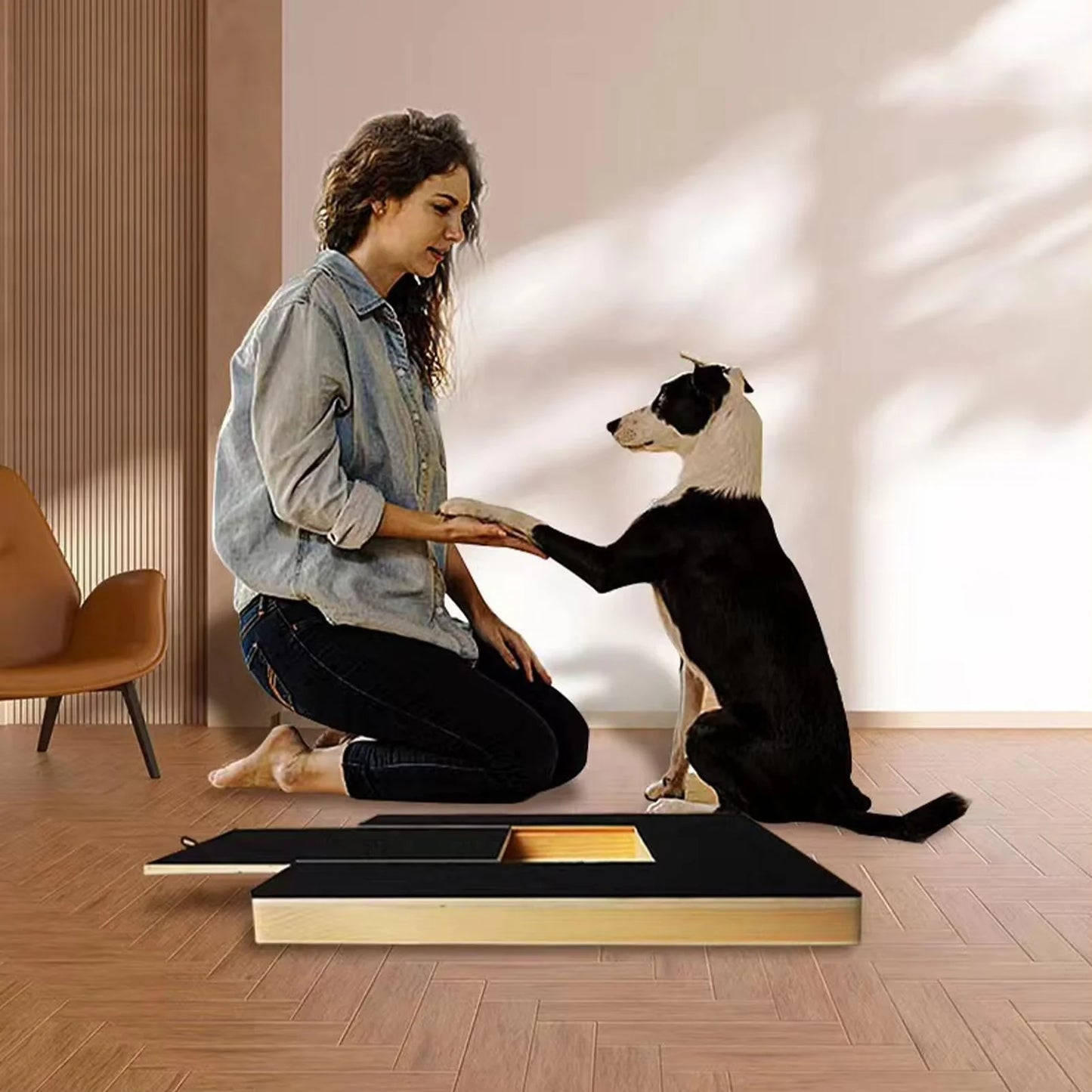 Transform Grooming into Fun with Our Dog Nail Scratch Board & Treat Drawer - The Ultimate Stress-Free Solution for All Breeds