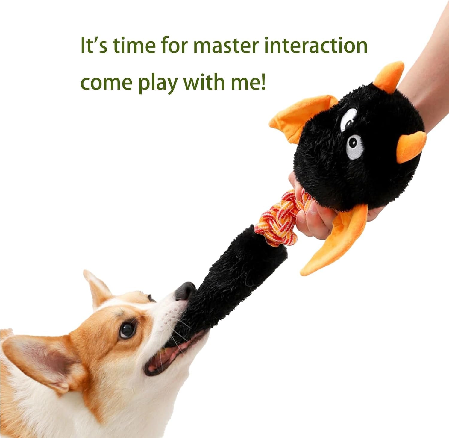 Exciting Plush Dog and Cat Toys - Squeaky Fun for Large and Small Pets!