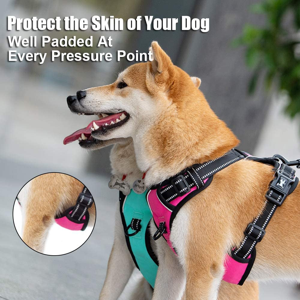 Ultimate No Pull Dog Harness - Reflective & Comfortable Vest with Dual Leash Attachments and Easy Control Handle - Adjustable Soft Padded Pet Vest for Small to Large Dogs (Mint Blue, Medium)