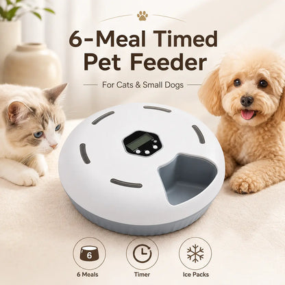 Revolutionize Mealtime with the 6-Meal Timed Automatic Cat Feeder - Indoor Detachable Rotating Food Dispenser for Cats and Small Dogs, Complete with Ice Packs and Battery Power!