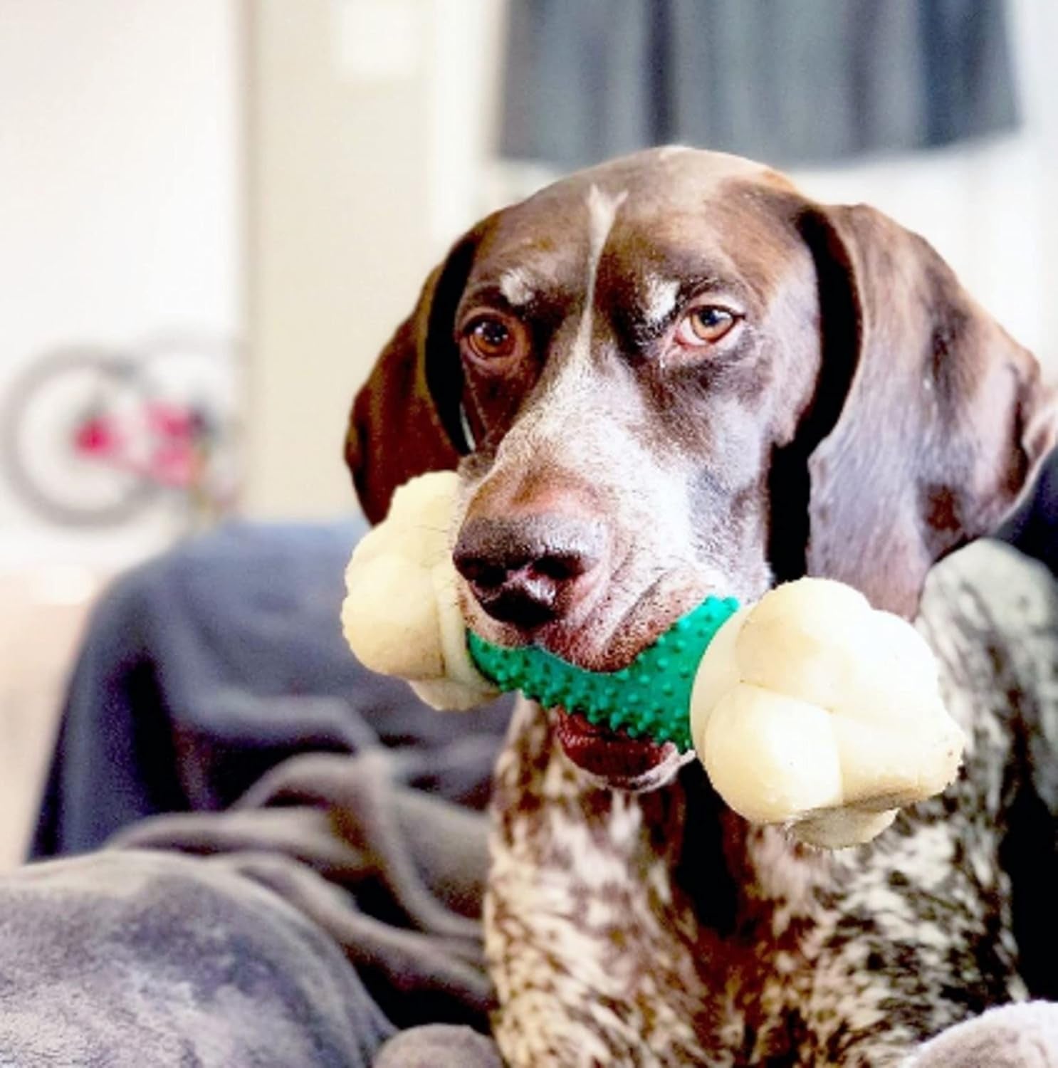 Power Chew Double Action Barbell Bone Dog Chew Toy for Large Breeds - Durable, Teeth-Cleaning, and Long-Lasting Chew Fun with Irresistible Bacon Flavor!