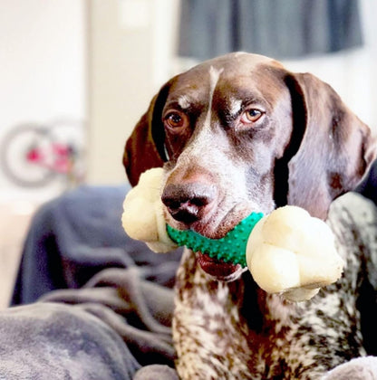 Power Chew Double Action Barbell Bone Dog Chew Toy for Large Breeds - Durable, Teeth-Cleaning, and Long-Lasting Chew Fun with Irresistible Bacon Flavor!