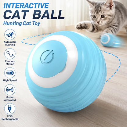 Exciting Interactive Cat Ball - USB Rechargeable Automatic Rolling Toy for Indoor Play