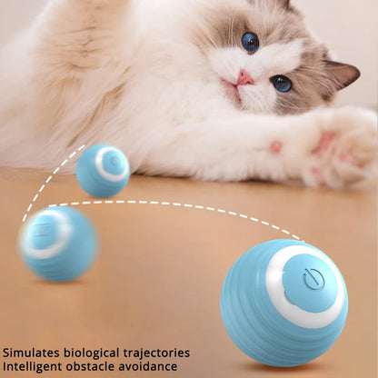 Exciting Interactive Cat Ball - USB Rechargeable Automatic Rolling Toy for Indoor Play