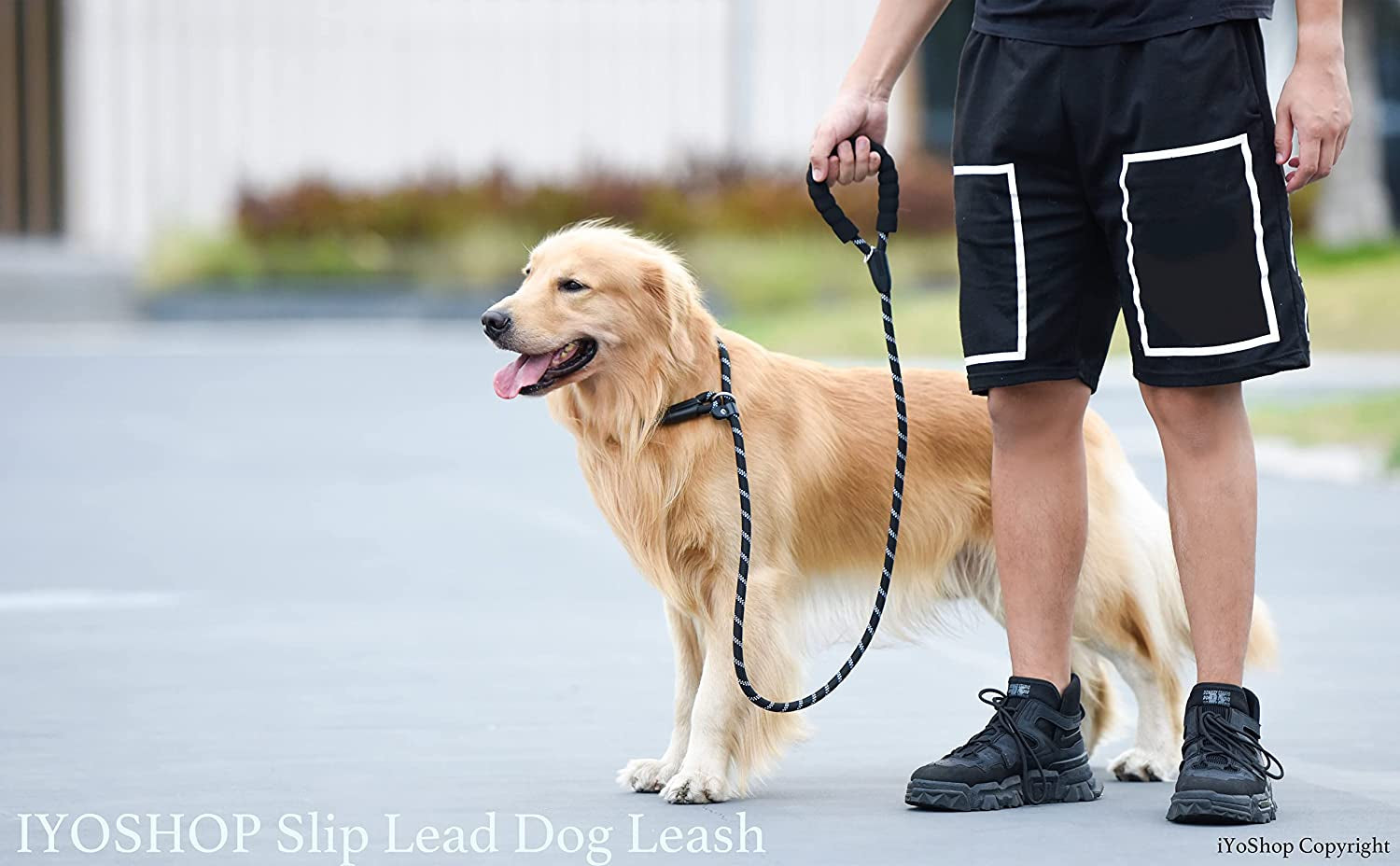 Ultimate Durable Slip Lead Dog Leash with Padded Handle and Reflective Threads - Perfect for Training and No-Pull Control (1/2" x 6 FT, Black)
