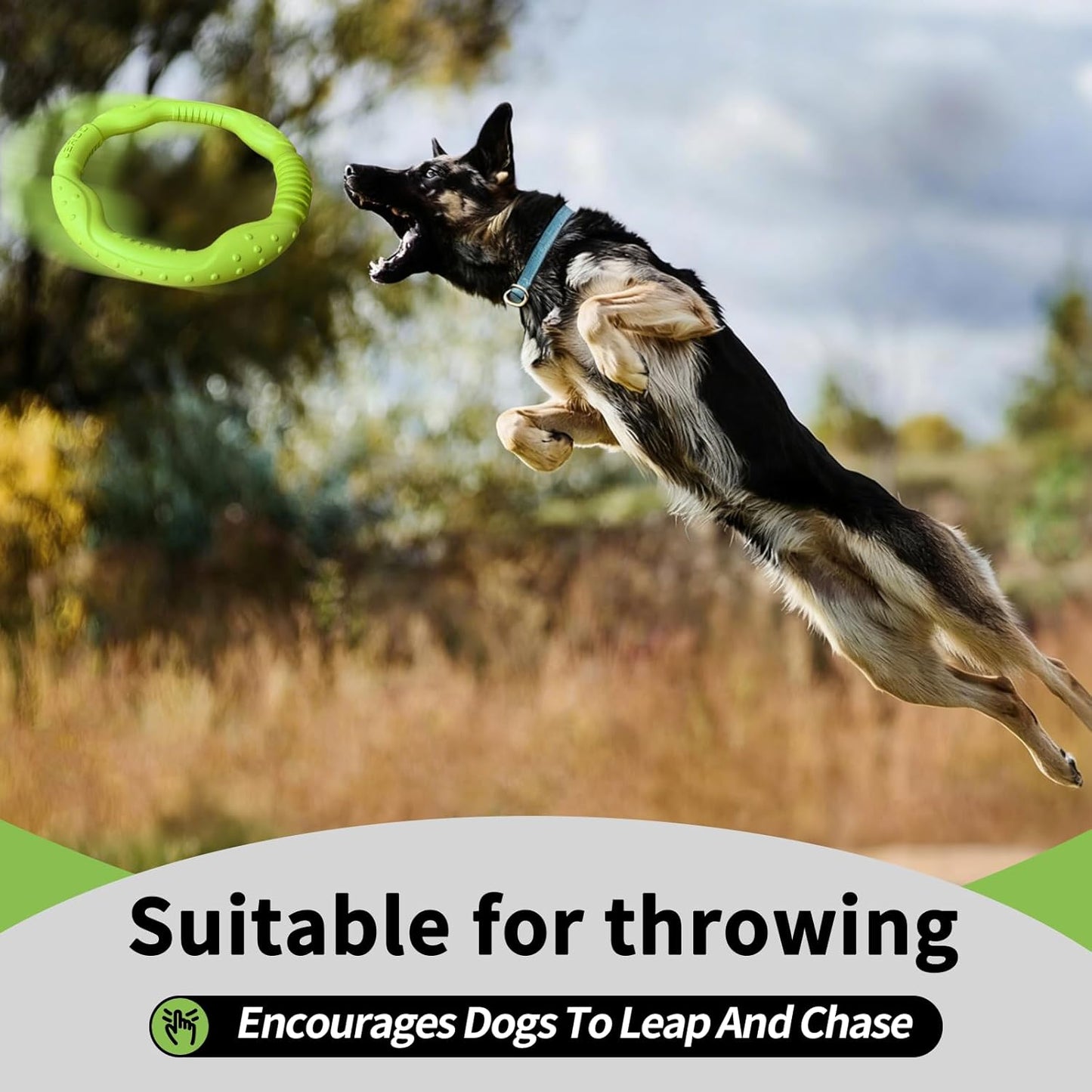 Exciting Green Dog Ring Toy - Durable Soft Flying Disc for Fun Fetching and Water Play, Perfect for Medium to Large Breeds!