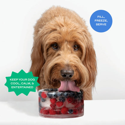 Create Frozen Delights for Your Pup with the Freeze-Your-Own Dog Treat Bowl
