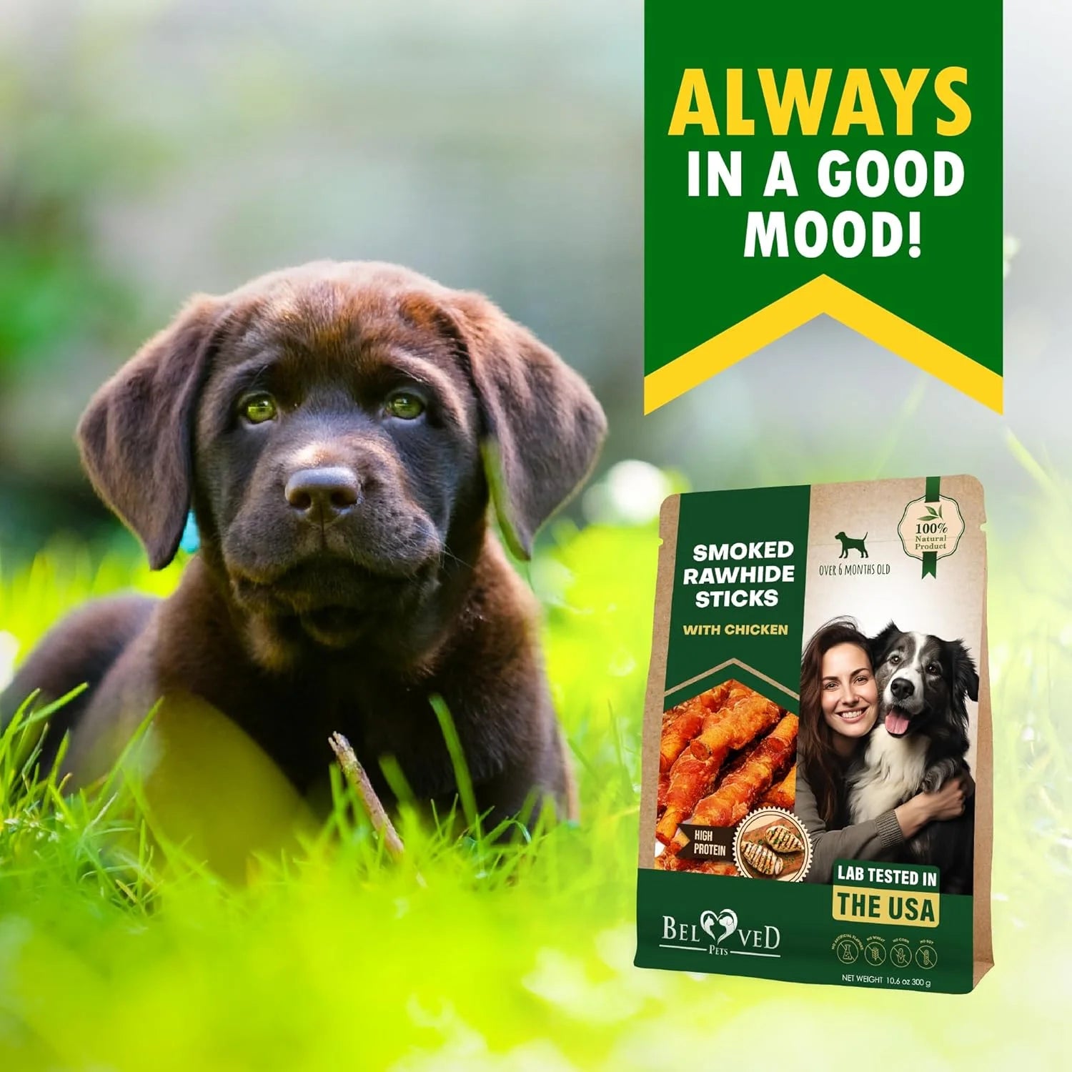 Irresistible Chicken-Wrapped Rawhide Sticks - Grain-Free Chew Treats for Dogs (10.6 Oz) - Perfect for Training & All Occasions