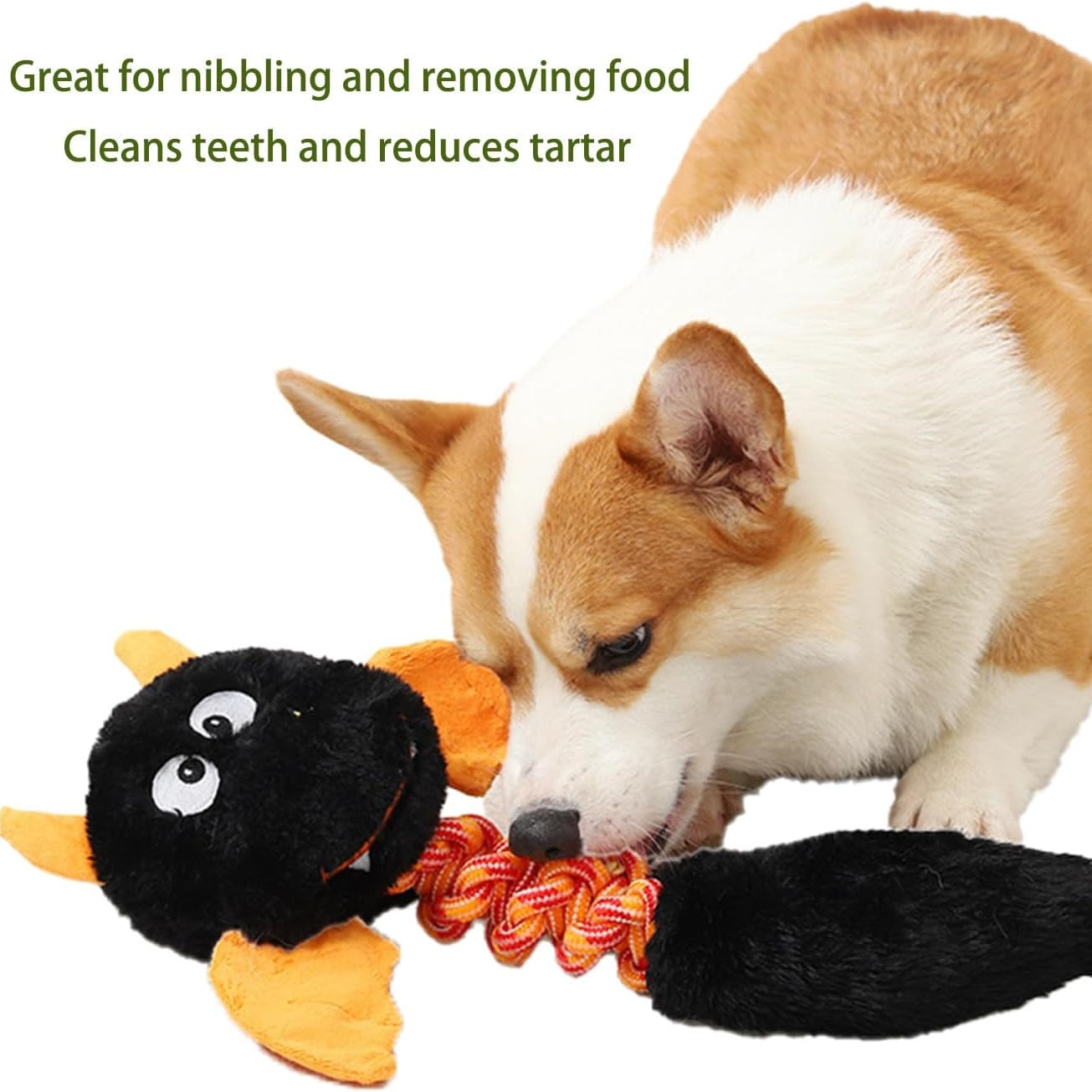 Exciting Plush Dog and Cat Toys - Squeaky Fun for Large and Small Pets!