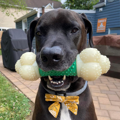 Power Chew Double Action Barbell Bone Dog Chew Toy for Large Breeds - Durable, Teeth-Cleaning, and Long-Lasting Chew Fun with Irresistible Bacon Flavor!