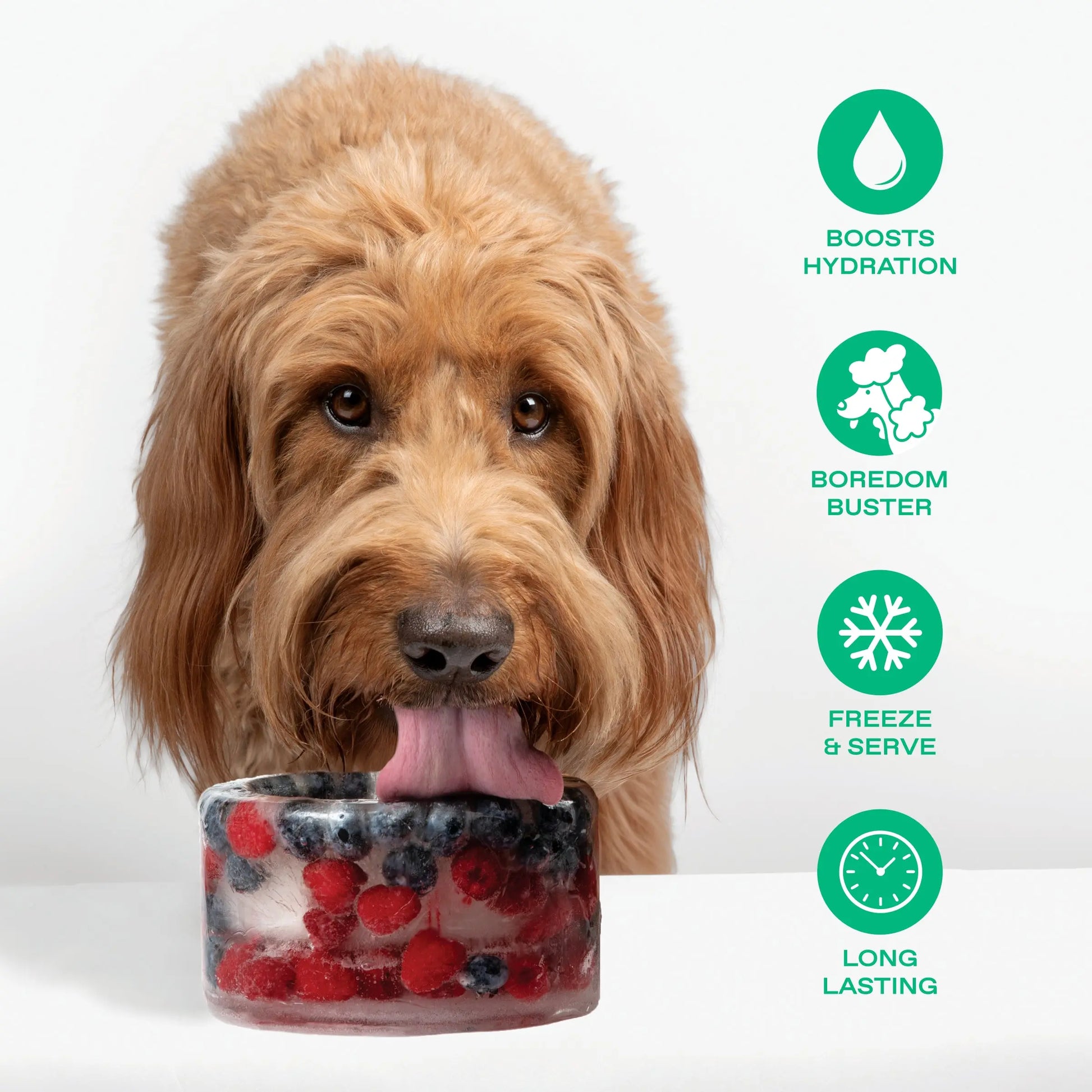 Create Frozen Delights for Your Pup with the Freeze-Your-Own Dog Treat Bowl