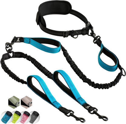 Ultimate Hands-Free Double Dog Leash – Perfect for Medium and Large Breeds – Enjoy Walks with 2 Dogs, Tangle-Free and Comfortable!